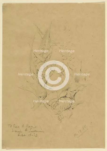 Plant Form Study, 1885. Creator: Louis Sullivan.
