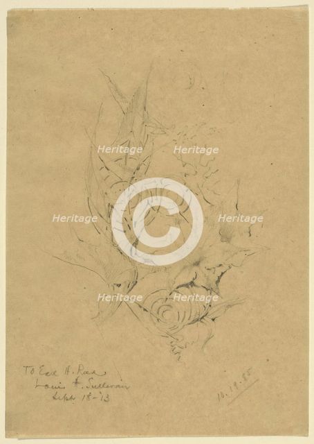 Plant Form Study, 1885. Creator: Louis Sullivan.