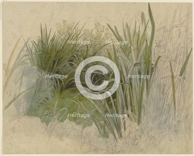 Plant study with cattails, 19th century. Creator: Peter Becker.