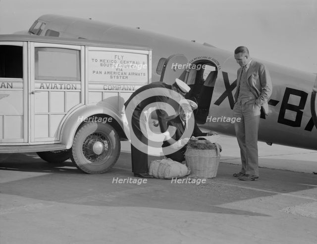 Plant quarantine inspector examining baggage brought into the US, Glendale, California, 1937. Creator: Dorothea Lange.