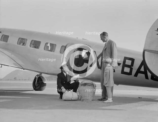 Plant quarantine inspector examining baggage, Glendale, California, 1937. Creator: Dorothea Lange.