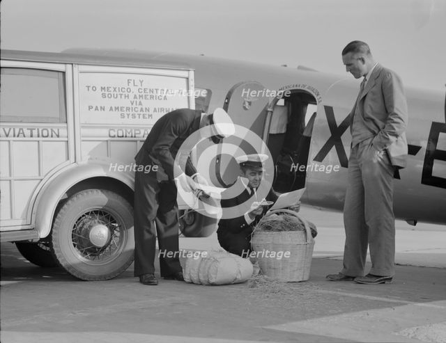 Plant quarantine inspectors examining baggage from Mexico, Glendale Airport, California, 1937. Creator: Dorothea Lange.