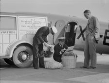 Plant quarantine inspectors examining baggage from Mexico, Glendale Airport, California, 1937. Creator: Dorothea Lange