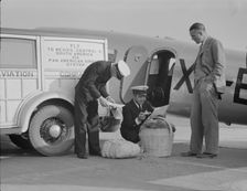 Plant quarantine inspectors examining baggage from Mexico, Glendale Airport, California, 1937. Creator: Dorothea Lange