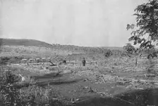 Plantacao de Cafe novo (New coffee plantation), 1895. Artist: Axel Frick