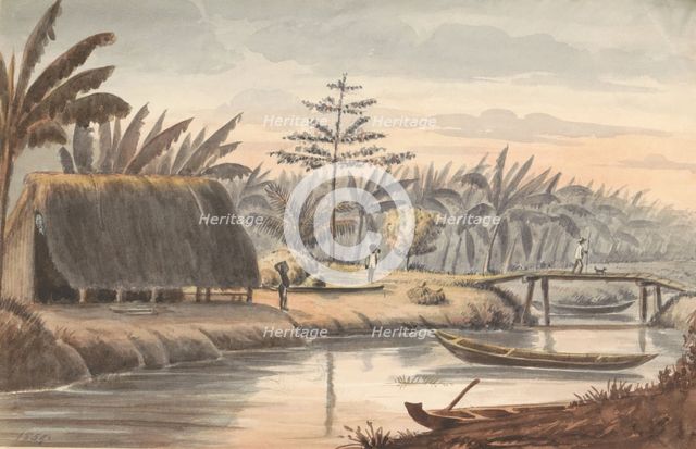 Plantation Visserszorg with banana field, 1859. Creator: Jacob van Geffen.