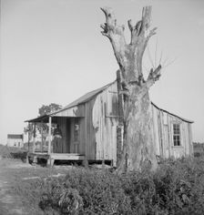 Plantation cabin of sharecropper, Washington County, Mississippi, 1937. Creator: Dorothea Lange