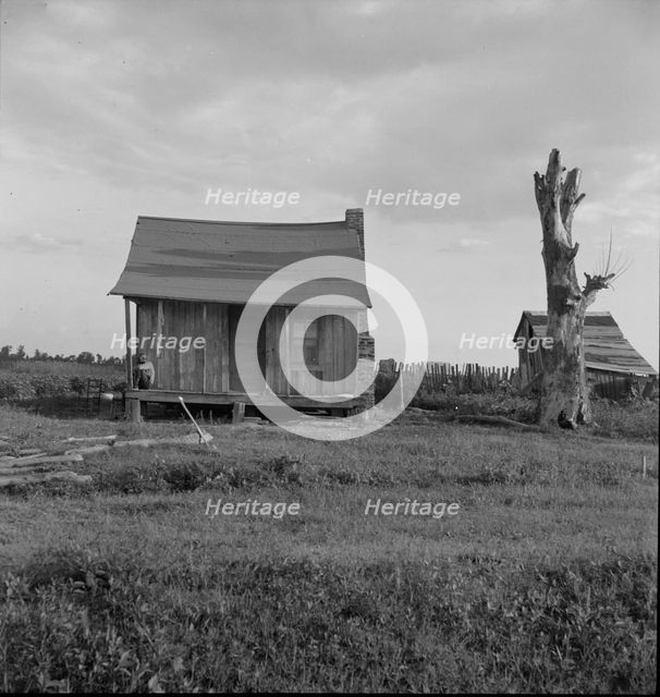 Plantation cabin of sharecropper, Washington County, Mississippi, 1937. Creator: Dorothea Lange.