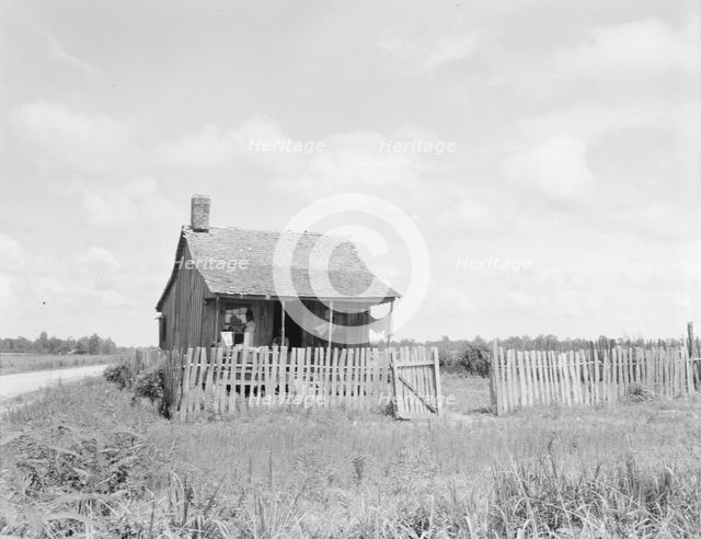 Plantation cotton cabin (Negro), Mississippi Delta, near Vicksburg, 1936. Creator: Dorothea Lange.
