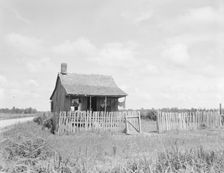 Plantation cotton cabin (Negro), Mississippi Delta, near Vicksburg, 1936. Creator: Dorothea Lange