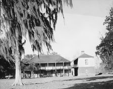 Plantation Ormond above New Orleans, Louisiana, 1935 or 1936. Creator: Walker Evans