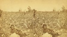 Plantation Scene. Picking cotton. [Woman resting in the field], (1868-1900?). Creator: O. Pierre Havens