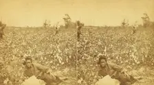 Plantation Scene. Picking cotton. [Woman resting in the field], (1868-1900?). Creator: O. Pierre Havens