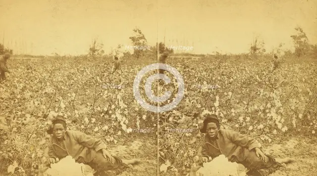Plantation Scene. Picking cotton. [Woman resting in the field], (1868-1900?). Creator: O. Pierre Havens.
