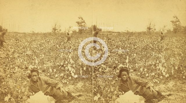 Plantation Scene. Picking cotton. [Woman resting in the field], (1868-1900?). Creator: O. Pierre Havens.