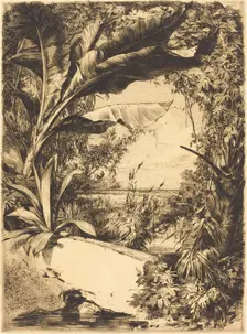 Plantes de Serre, 1863. Creator: Jules-Ferdinand Jacquemart