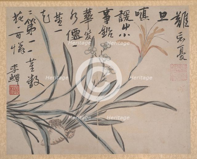 Plants and Vegetables, dated 1740. Creator: Unknown.