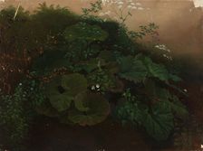 Plants, exercise, 1835-1853. Creator: Nils Jakob Blommer