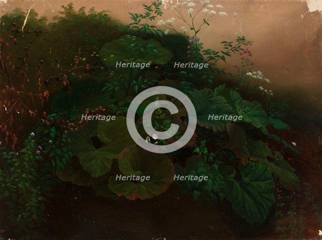 Plants, exercise, 1835-1853. Creator: Nils Jakob Blommer.