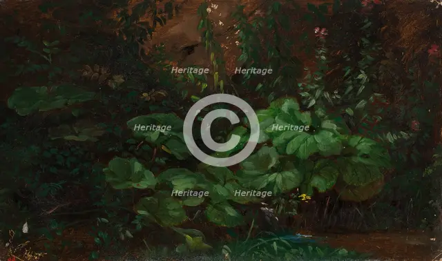 Plants, exercise, 1835-1853. Creator: Nils Jakob Blommer.