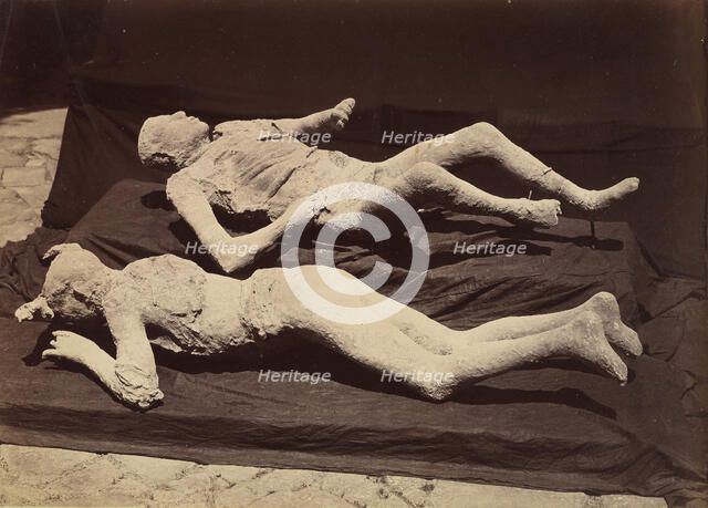 [Plaster Casts of Bodies, Pompeii], ca. 1875. Creator: Giorgio Sommer.