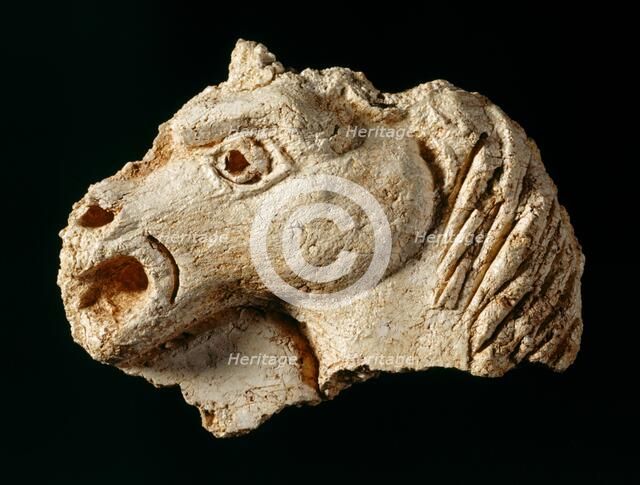 Plaster fragment of a horse's head from one of the ceilings, Berry Pomeroy Castle, Devon. Artist: Unknown.