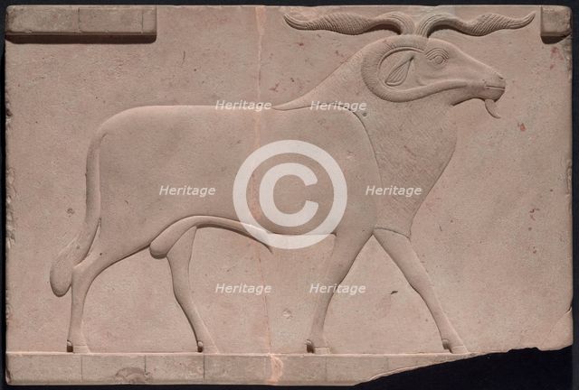 Plaque Depicting a Ram, Egypt, Ptolemaic Period (332-30 BCE). Creator: Unknown.