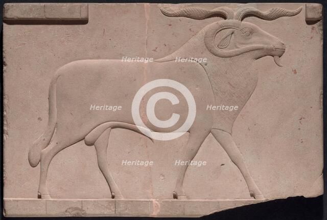 Plaque Depicting a Ram, Egypt, Ptolemaic Period (332-30 BCE). Creator: Unknown.