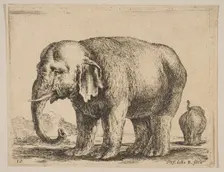 Plate 10: elephant, from Various animals (Diversi animali), ca. 1641. Creator: Stefano della Bella