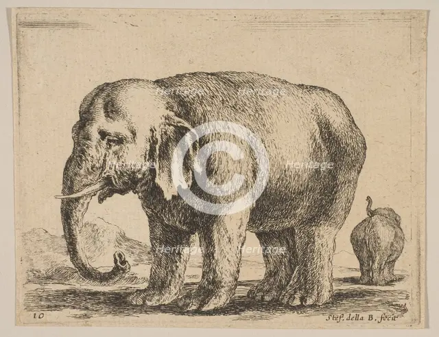 Plate 10: elephant, from 'Various animals' (Diversi animali), ca. 1641. Creator: Stefano della Bella.