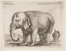 Plate 10: elephant, from Various animals (Diversi animali), ca. 1641. Creator: Stefano della Bella