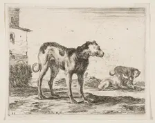 Plate 11: dogs, from Various animals (Diversi animali), ca. 1641. Creator: Stefano della Bella