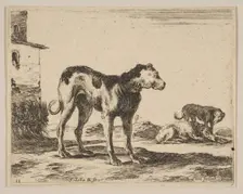 Plate 11: dogs, from Various animals (Diversi animali), ca. 1641. Creator: Stefano della Bella