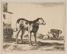 Plate 11: dogs, from Various animals (Diversi animali), ca. 1641. Creator: Stefano della Bella