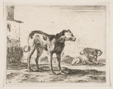Plate 11: dogs, from Various animals (Diversi animali), ca. 1641. Creator: Stefano della Bella