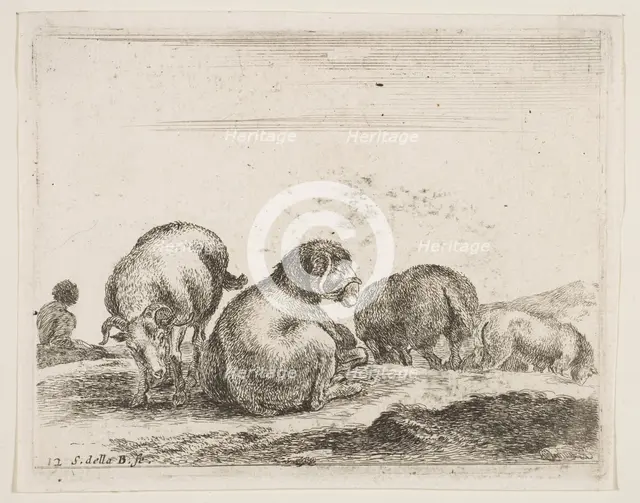 Plate 12: sheep and ram in a pasture, from 'Various animals' (Diversi animali), ca. 1641. Creator: Stefano della Bella.