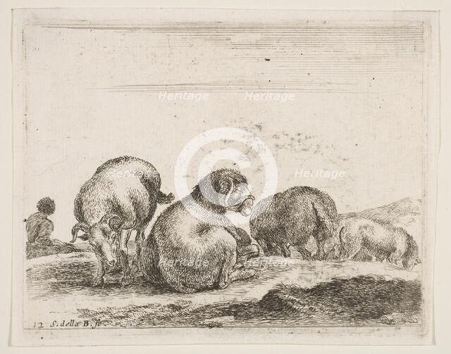 Plate 12: sheep and ram in a pasture, from 'Various animals' (Diversi animali), ca. 1641. Creator: Stefano della Bella.