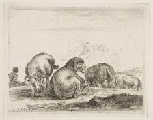 Plate 12: sheep and ram in a pasture, from Various animals (Diversi animali), ca. 1641. Creator: Stefano della Bella