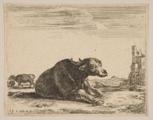 Plate 13: buffalo lying down, from Various animals (Diversi animali), ca. 1641. Creator: Stefano della Bella