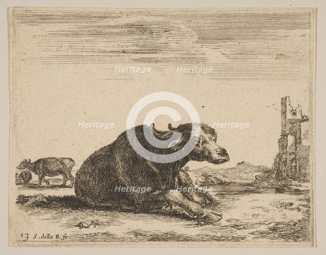 Plate 13: buffalo lying down, from 'Various animals' (Diversi animali), ca. 1641. Creator: Stefano della Bella.