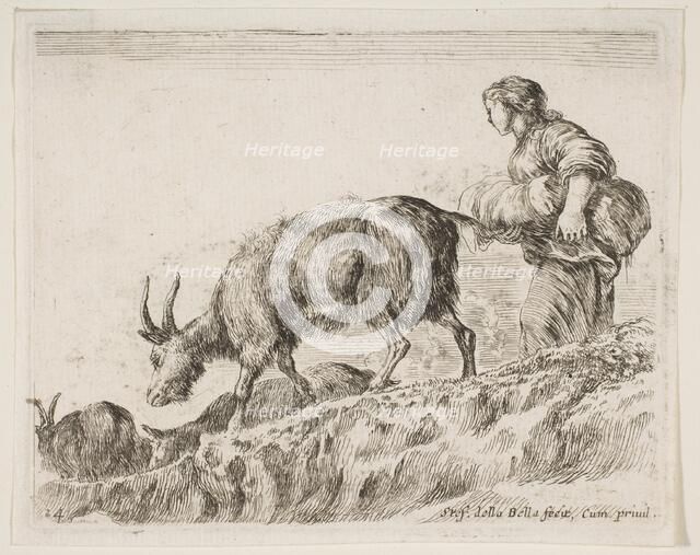 Plate 14: shepherdess herding goats, from 'Various animals' (Diversi animali), ca. 1641. Creator: Stefano della Bella.