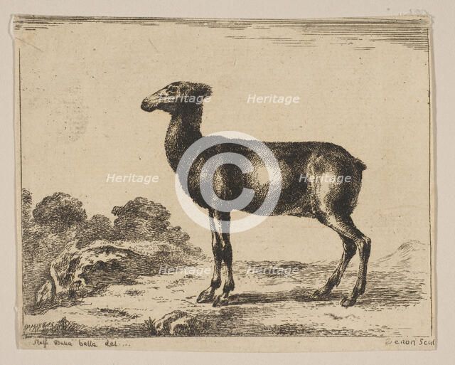 Plate 15: doe, from 'Various animals' (Diversi animali), after 1641. Creator: Unknown.