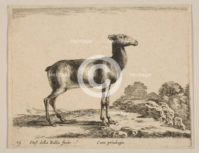 Plate 15: doe, from 'Various animals' (Diversi animali), ca. 1641. Creator: Stefano della Bella.