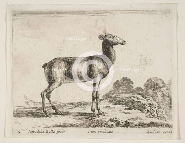 Plate 15: doe, from 'Various animals' (Diversi animali), ca. 1641. Creator: Stefano della Bella.