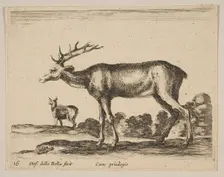 Plate 16: stag, from Various animals (Diversi animali), ca. 1641. Creator: Stefano della Bella