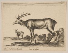 Plate 16: stag, from Various animals (Diversi animali), ca. 1641. Creator: Stefano della Bella