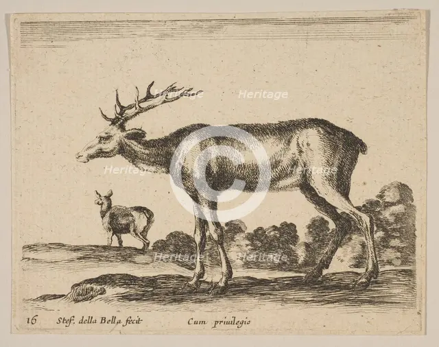 Plate 16: stag, from 'Various animals' (Diversi animali), ca. 1641. Creator: Stefano della Bella.
