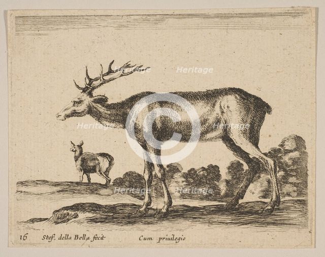 Plate 16: stag, from 'Various animals' (Diversi animali), ca. 1641. Creator: Stefano della Bella.