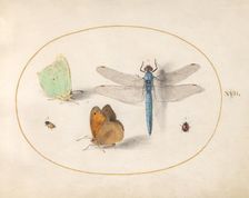 Plate 17: Two Butterflies, a Dragonfly, and Two Small Insects, c. 1575/1580. Creator: Joris Hoefnagel