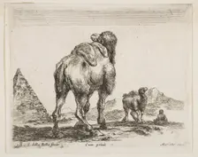 Plate 18: camel viewed from behind with pyramid at left, from Various animals (Diver..., ca. 1641. Creator: Stefano della Bella